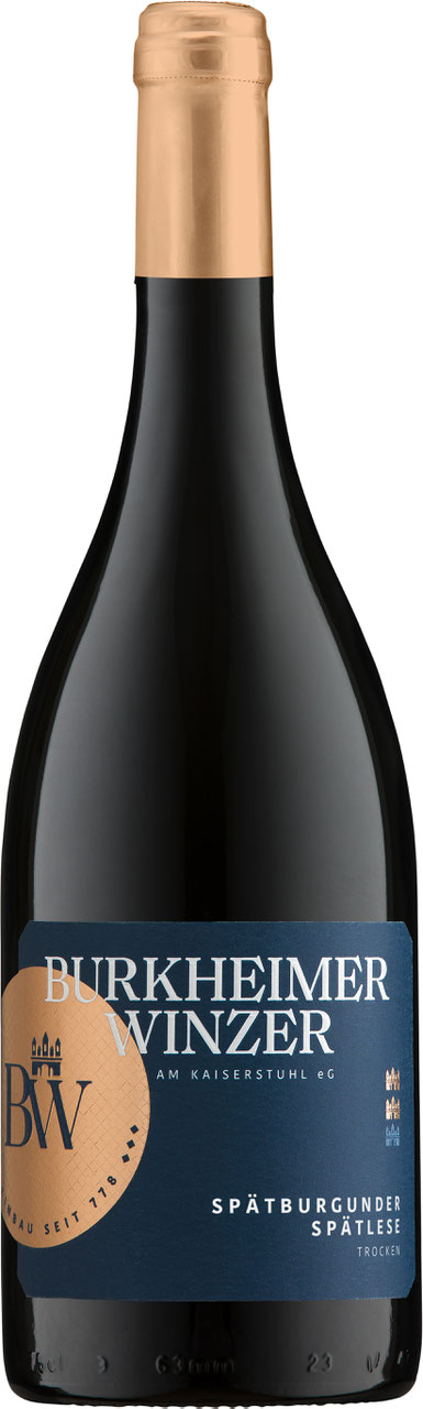 Spätburgunder Rotwein Spätlese trocken GENUSS Spätburgunder Rotwein Spätlese trocken GENUSS