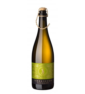 Blanc de Blancs Qualitätsperlwein bA trocken Terra Secco  